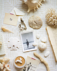 Collage of Shells, Sponges, and photographs by Erika M Powell