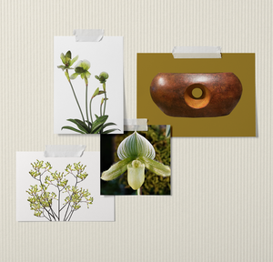 Collage of Vintage Vase with Hole, Green Kangaroo Paws, and Green Lady's Slipper Orchid