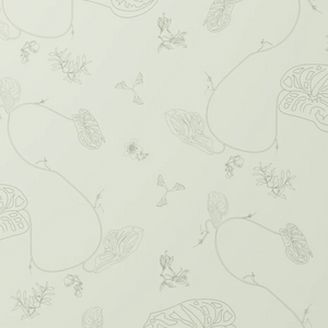 Anthurium Waltz Celadon Wallpaper