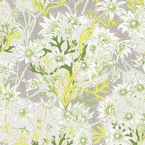 Flannel Flower Lime Wallpaper