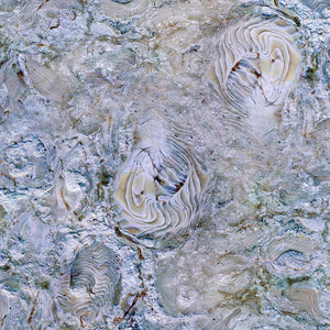 Fossilized Coral Stone Opal Wallpaper