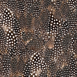 Guinea Hen Feather Wallpaper
