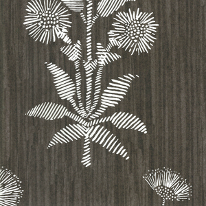 Harwick Botanical Charcoal Typell Nolar Wallpaper