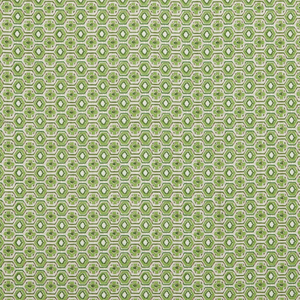Veneto Kelly Green Fabric