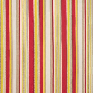 Cabana Stripe Lacquer Fabric