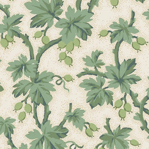 Gooseberry Lettuce Wallpaper