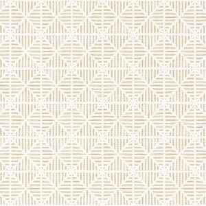 Mini Envelope Stripe Bone Fabric