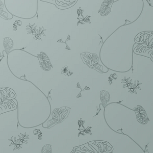 Anthurium Waltz Pacific Wallpaper