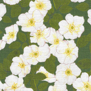 Rosa Fennel Green Fabric