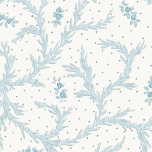 Clementine Sea Salt Wallpaper