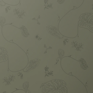 Anthurium Waltz Thyme Wallpaper