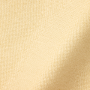 Light Weight Linen Vellum Fabric