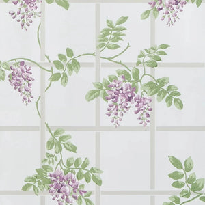 Templeton Trellis Wisteria Wallpaper